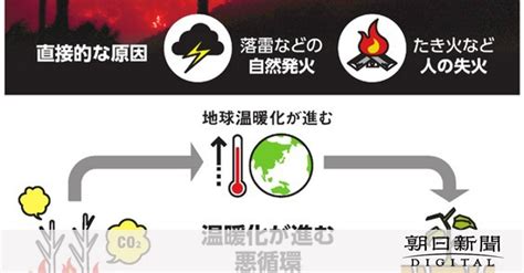 蛇山火事|山火事の原因のひとつが「蛇(ヘビ)」とききました。これは何故。